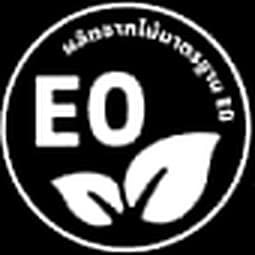 E0